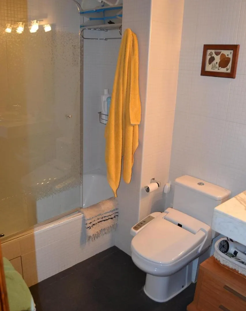 Duplex En El Centro De Alp Apartment 0*,  Spain